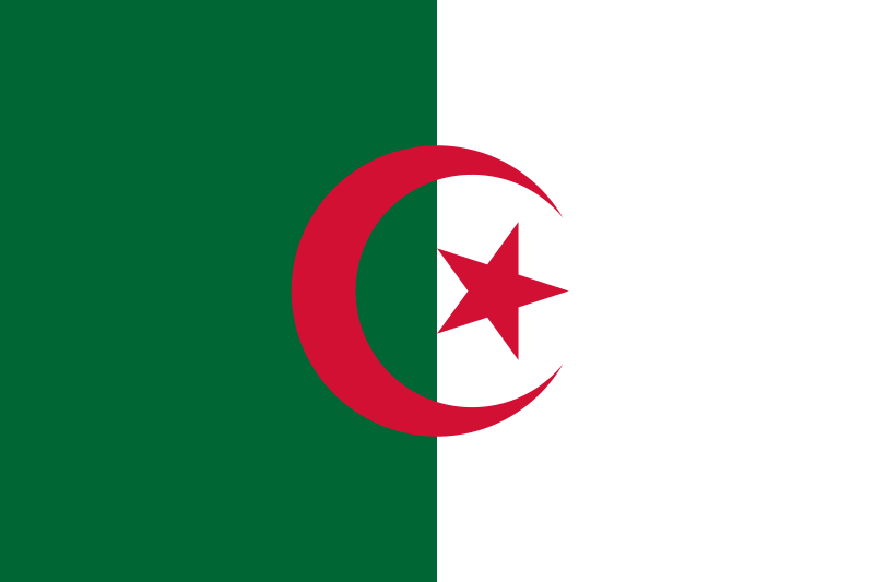 Algeria Process Server - Algeria Process Service