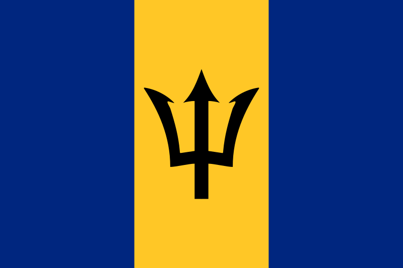 Barbados Process Server - Barbados Process Service