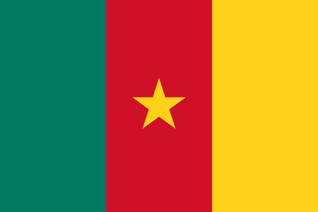 Cameroon Process Server - Cameroon Process Service