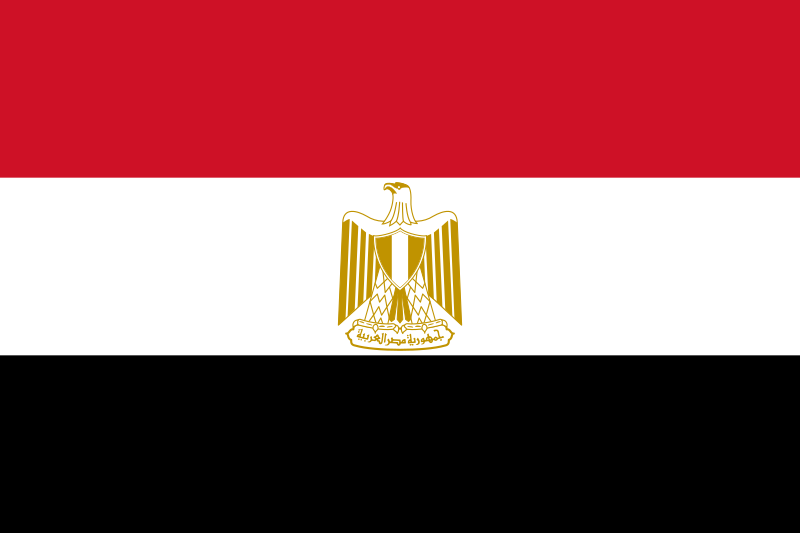 Egypt Process Server - Egypt Process Service