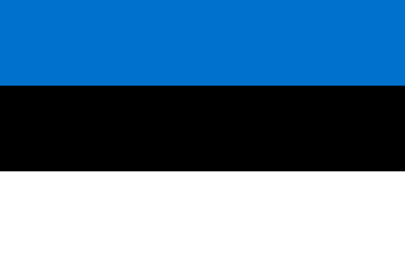 Estonia Process Server - Estonia Process Service