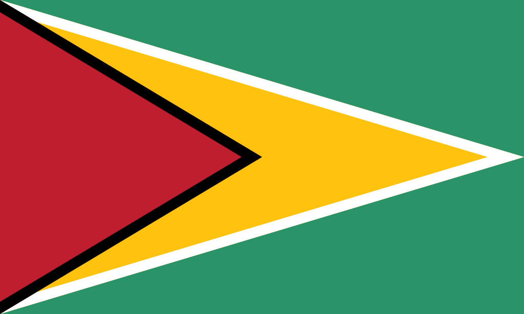 Guyana Process Server - Guyana Process Service
