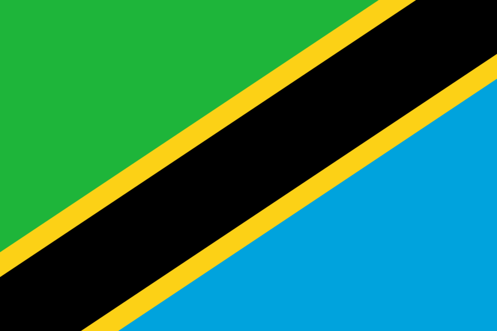 Tanzania Process Server - Tanzania Process Service