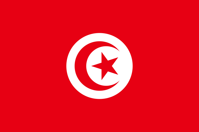 Tunisia Process Server - Tunisia Process Service
